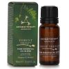 AROMATHERAPY ASSOCIATES - Forest Therapy - Pure Essential Oil Blend (Box Slightly Damaged) 10ml/0.33oz